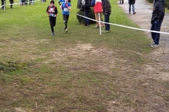 28577092_1870723893219728_7217458780573593414_n