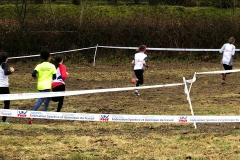 28577185_1870577319901052_376390174730025244_n