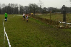 28577905_1870676713224446_2209558823125611639_n