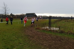 28617032_1870928113199306_7930176400304659395_o