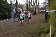 28619091_1870931876532263_4230194077306805881_o