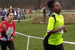 28660378_1870723993219718_7139113607325259588_n