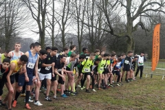 28661005_1870676409891143_5323246716178136214_n