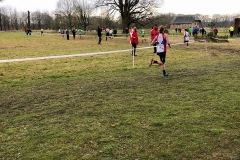 28685332_1870612553230862_4234795260681352593_n