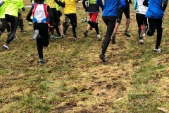 28685457_1870577443234373_4862037671070513985_n