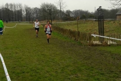 28685499_1870676996557751_1944004680576595141_n