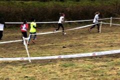 28795711_1870577293234388_6021912690338976890_n